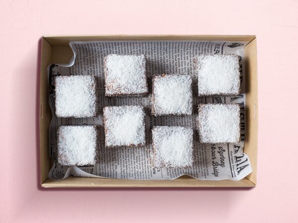Giant Fluffy Lamingtons (6)